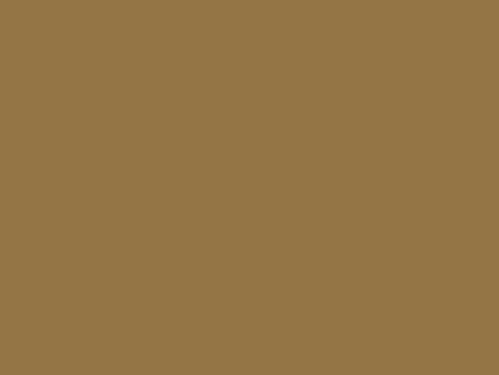 buckskin-brown-022
